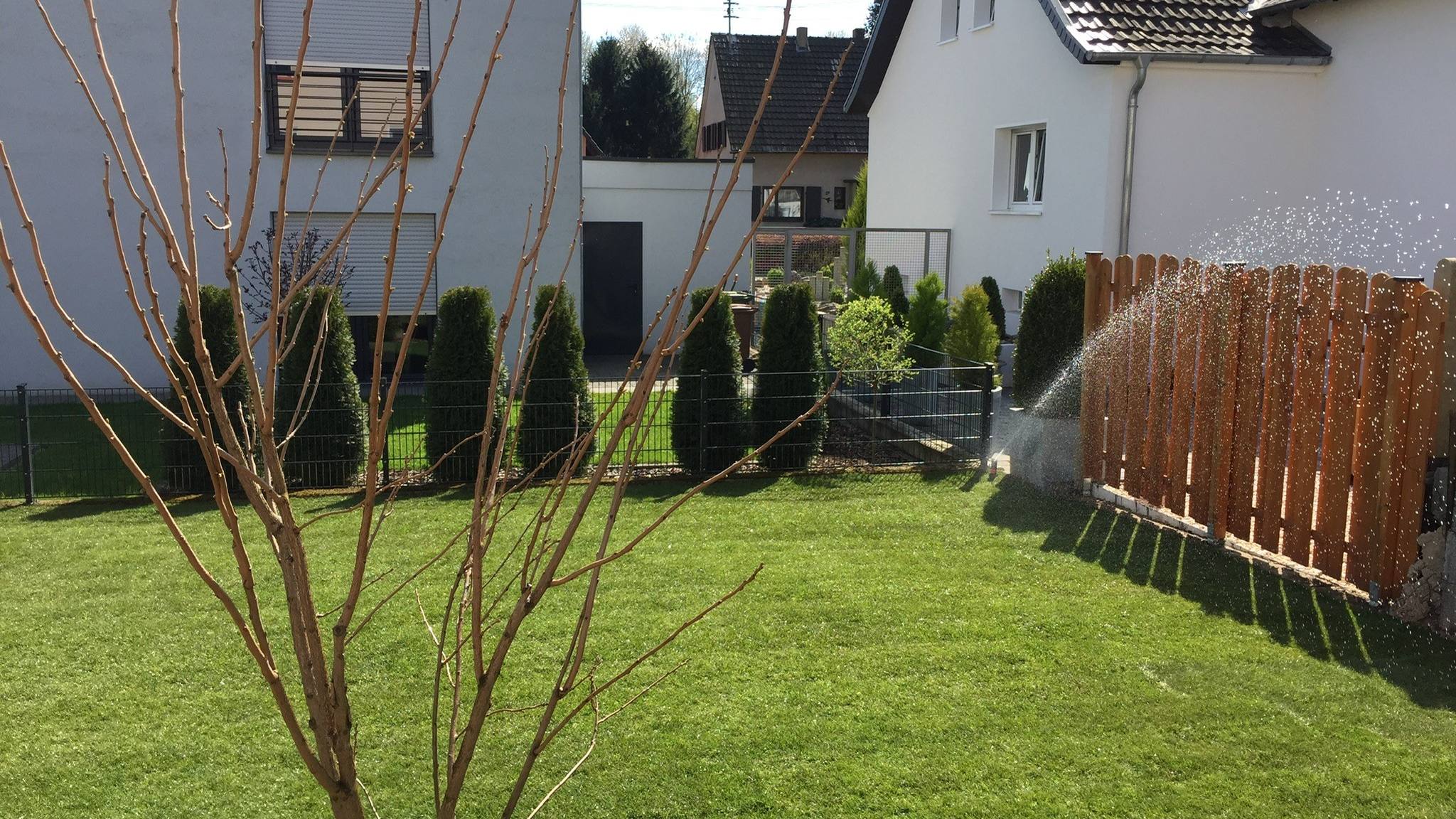 Gepflegter Garten mit frisch gemähtem Rasen und laufender Bewässerung in Bonn