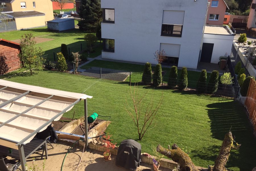 Garten nach der Neuanlage: geschlossene Rasenfläche mit neu gesetzter Heckenreihe